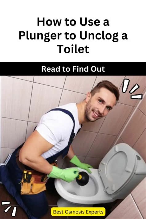 How to Use a Plunger to Unclog a Toilet - December 2024