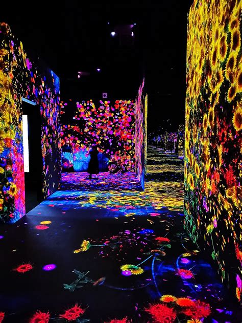 The World's First Digital Art Museum - teamLab Borderless in Tokyo, Japan — pursuit of art