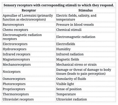 Sensory Receptors - Sensory Processing - MCAT Content