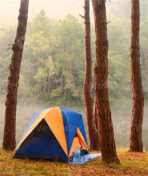 Camping in the forest 826744 Stock Photo at Vecteezy