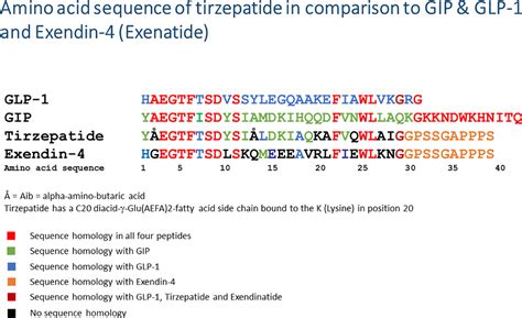 Frontiers | Clinical perspectives on the use of the GIP/GLP-1 receptor ...