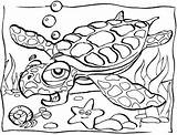 Printable Sea Animals Coloring Pages sketch template
