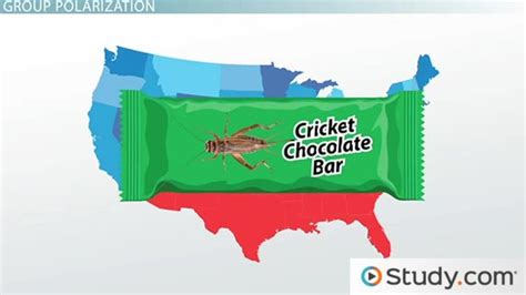 Group Polarization Overview & Examples | What is Group Polarization ...