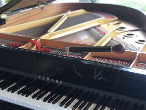 Two Dogs Tuning and Piano Restoration