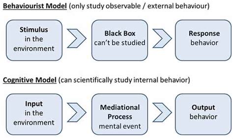 Albert Bandura's Social Learning Theory In Psychology