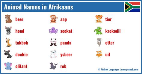 Animal Names in Afrikaans