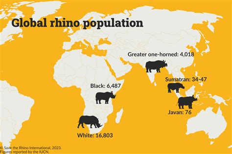 Rhino Population 2024 - Elene Hedvige