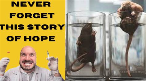 Daily Vid #65 | Shocking Rat Experiment | Motivational Video | #rat # ...