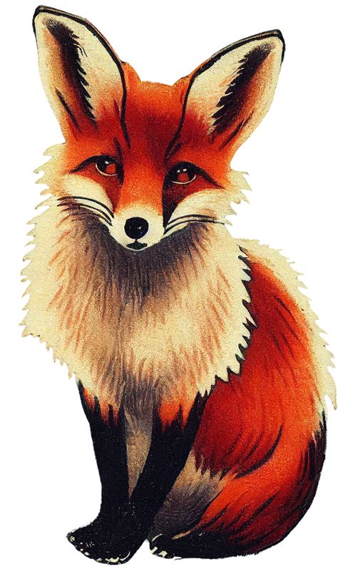 11 Drawings of Foxes! - The Graphics Fairy