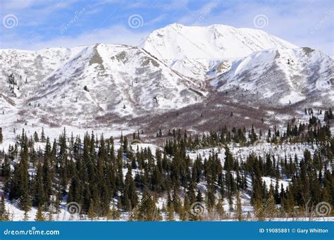 Snowy Mountain In Alaska Range In The Spring Stock Image - Image: 19085881