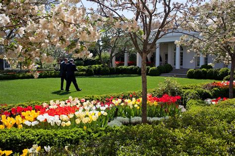 Rose Garden White House | Home Exterior Design Ideas | White house ...