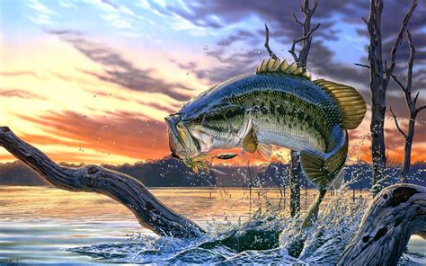 Bass Fishing Wallpaper Backgrounds - Wallpaper Cave