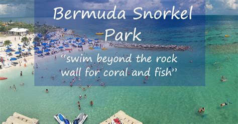 Bermuda Snorkel Park - Full Service Beach With Reef And Fish