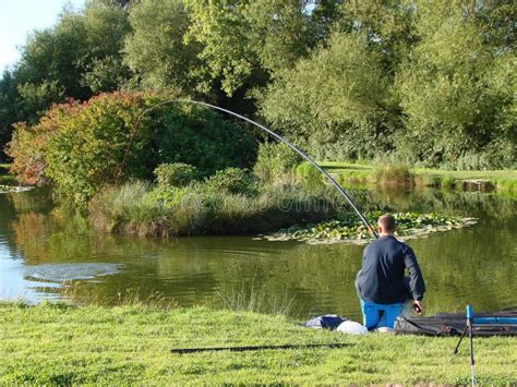 Pole fishing for carp stock image. Image of relax, stress - 2920617