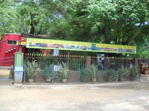 Entrance to Guindy Snake Park in Chennai... | Veethi