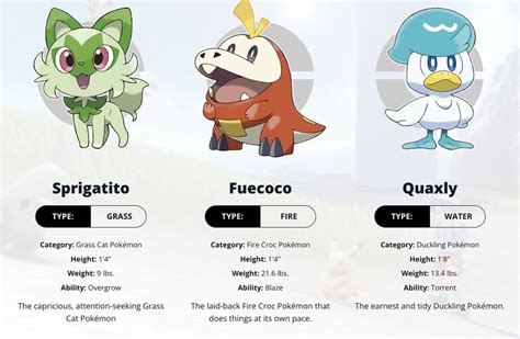 Official profiles revealed for Sprigatito, Fuecoco and Quaxly, the new ...