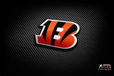 🔥 [48+] Bengals Wallpapers | WallpaperSafari