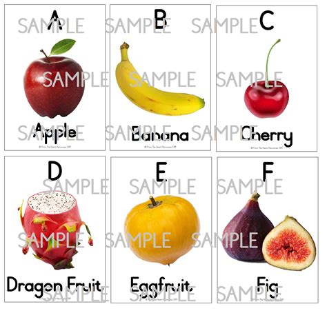 Fruit Themed English Alphabet A-Z • Teacha!