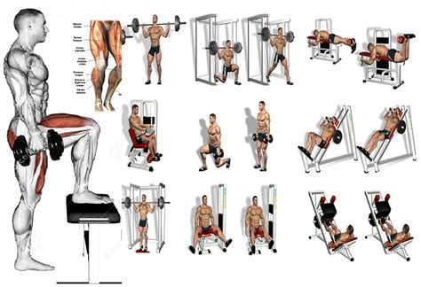 5 Leg Workouts – A Beginner's Guide! | Fitness Workouts & Exercises | Best leg workout, Leg ...