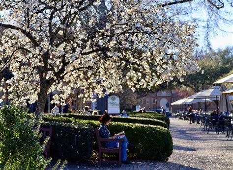 Step Back in Time: Discover the Charm of Merchants Square in Colonial Williamsburg — Fort ...