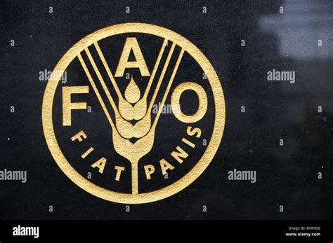 FAO Logo at the Office in Bangkok Stock Photo - Alamy