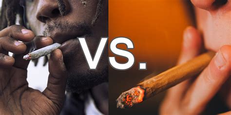 What’s the Difference Between a Joint and a Blunt? | Natural Mystic Pre ...