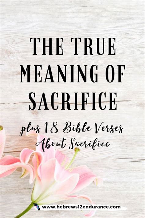 True Meaning of Sacrifice + 18 Bible Verses About Sacrifice – Hebrews ...