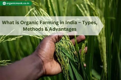 Organic Farming in India | Types, Methods & Advantages