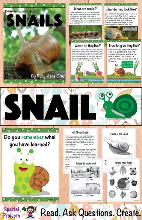 Check out this All About Snails nonfiction unit for your first, second, or third grade students ...