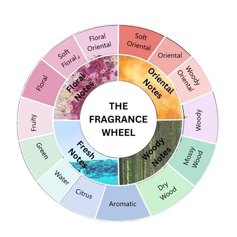 Scent Family And Fragrance Wheel | Fragrance Notes