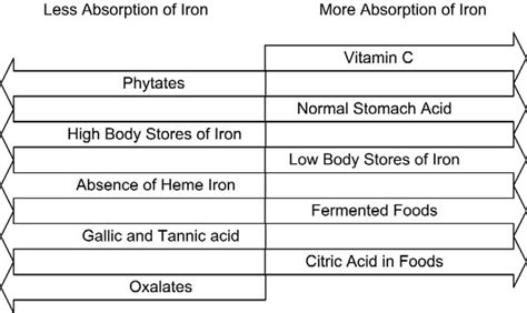 Health Tooty Fruity: Enhancers and Inhibitors of Iron Absorption