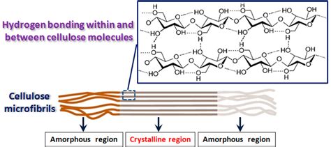 Recent Development in Applications of Cellulose Nanocrystals for ...