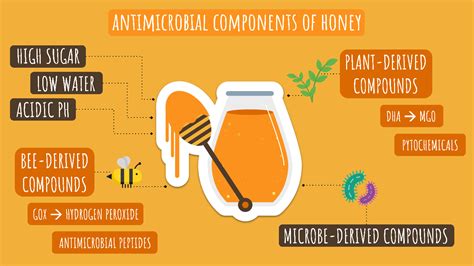 The many antimicrobial components of honey - Professional Beekeepers | Professional Beekeepers