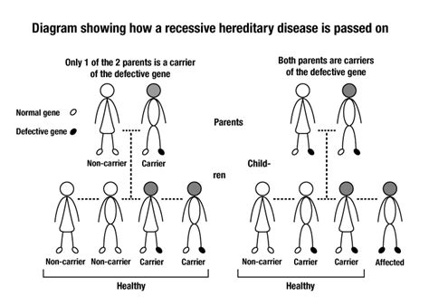 Recessive hereditary disease transmission | Gouvernement du Québec