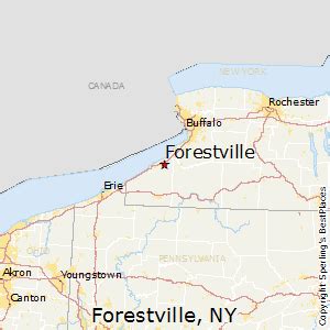 Best Places to Live in Forestville, New York