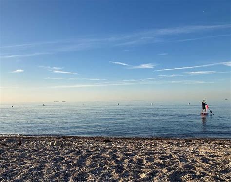 Dog Friendly Beaches in Fehmarn - BeachAtlas