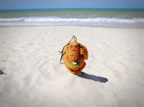 Premium Photo | Wooden monkey sculpture drinking coconut water while using telephone on beach