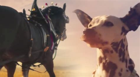 Budweiser Clydesdales Gallop To Bob Dylan's 'Blowin' In The Wind' In 2019 Super Bowl Ad