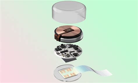 Neural Implant - IEEE Spectrum