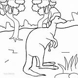 Printable Kangaroo Coloring Pages For Kids  Cool2bKids sketch template