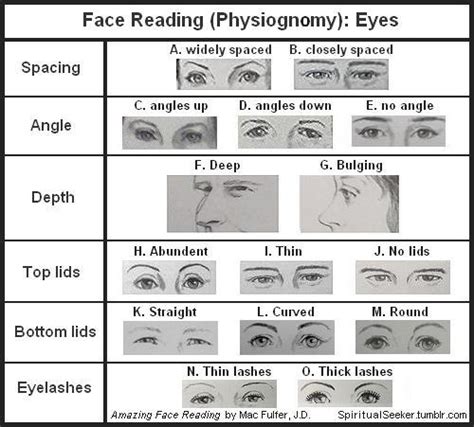 Spiritual Seeker (Face Reading (Physiognomy): Eyes Since eyes are...)