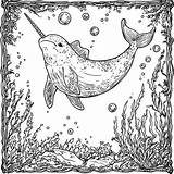 Printable Narwhal Coloring Page Sheets For All Ages – IMAGELLA sketch template