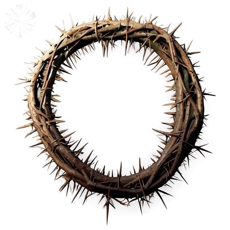 Download Crown Of Thorns Png Seo | Wallpapers.com