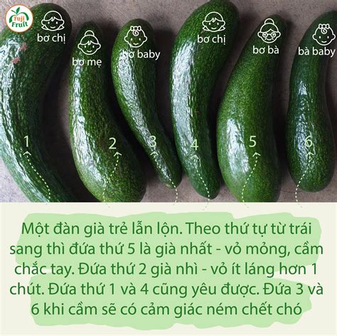 Cách Chọn Bơ 034 Già Béo Bùi & Sáp Dẻo | Hệ thống hoa quả sạch nhập khẩu Fuji