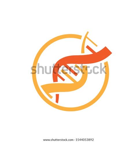 Dna Gene Logo Designs Icons Concept Stock Vector (Royalty Free) 1544053892