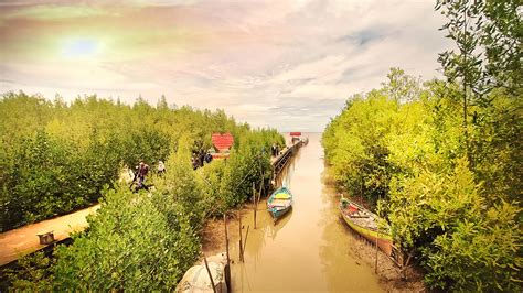 Enam Fungsi Hutan Mangrove yang Banyak Belum Diketahui Orang - Indonesia