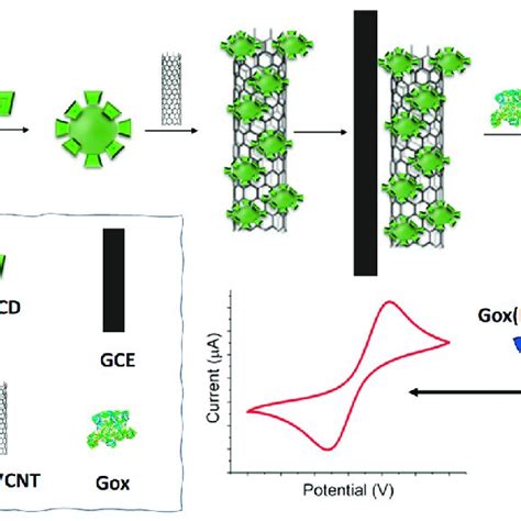 Schematic illustration of the fabrication of the glucose biosensor ...