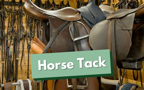 What Is Horse Tack? (Full Guide) | CC Stables