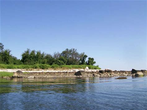 Friends of the Norwalk Islands to lead conservation charge