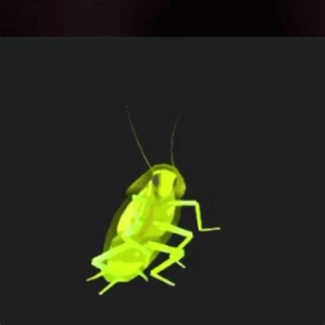 Dancing Cockroach Gif (Updated for 2023)